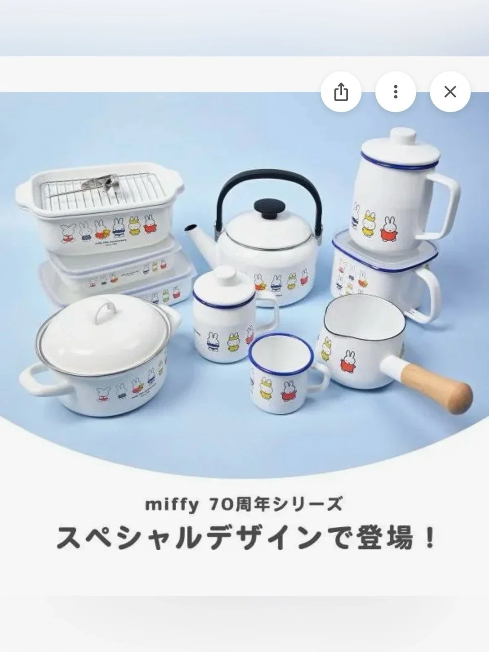 🐰NIB Unopened Japan Import Miffy 70th Anniversary Fujihoro Enamel Kettle 2.0L 🐰